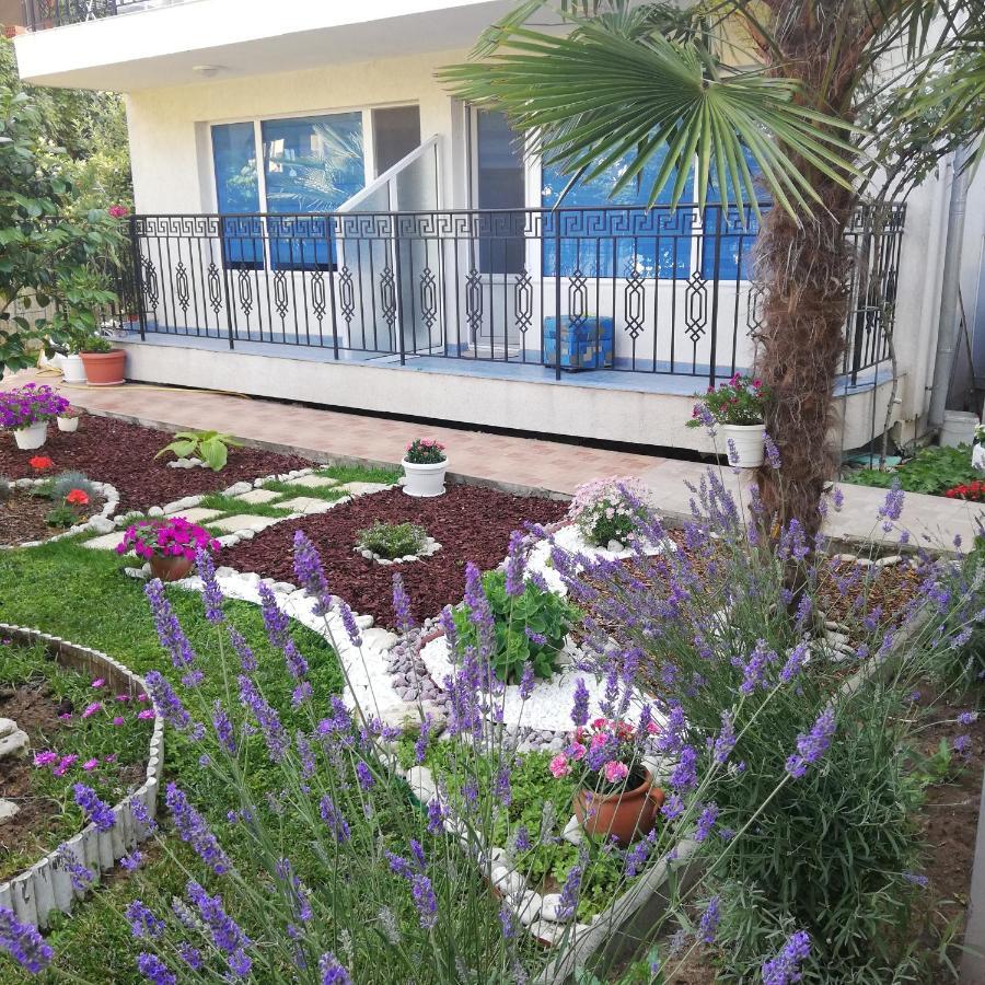 Albatros 2 Family Hotel Китен Экстерьер фото